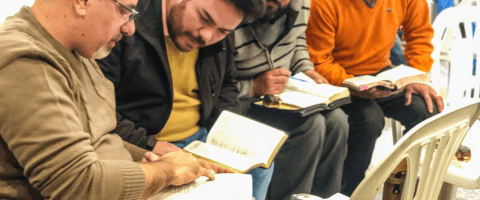 actividad: G.O.D., los dias: Consultar